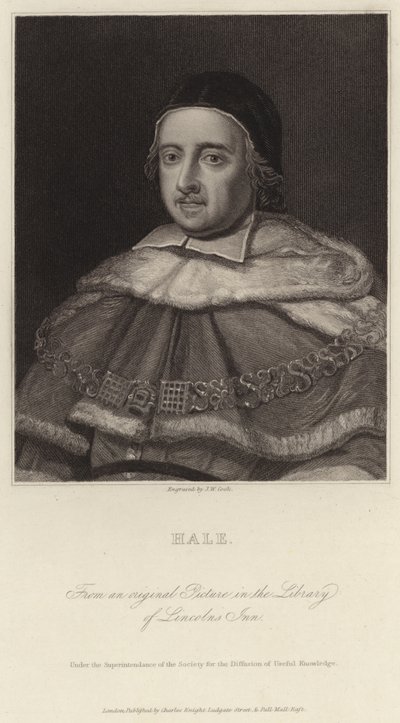Sir Matthew Hale de J.W. Cook