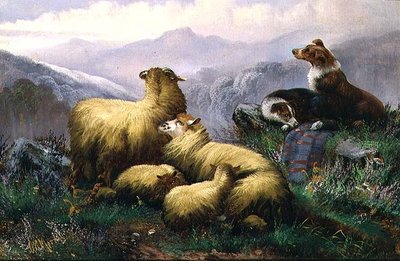 Perros pastores y ovejas en las Tierras Altas de Escocia de J.W. Morris