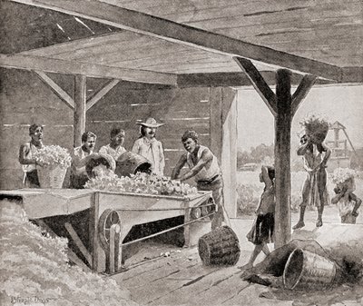 Esclavos trabajando con una desmotadora de algodón del siglo XIX en una plantación en un estado del sur de los Estados Unidos de América, de The History of Our Country, publicado 1905 de J. (after) Steeple Davis