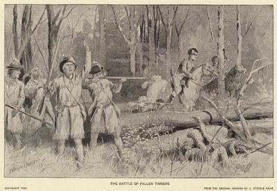 La batalla de Fallen Timbers (litografía) de J. (after) Steeple Davis