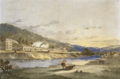 Trefforest Tin Works, Glamorganshire, c.1840 (litografía coloreada a mano sobre papel) de J. Appleby