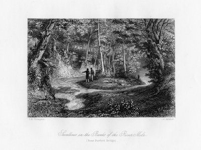 Golondrinas en las orillas del río Mole, Surrey, siglo XIX de J. Archer