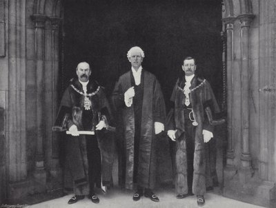 Presentando peticiones a la Cámara de los Comunes de J. Benjamin Stone