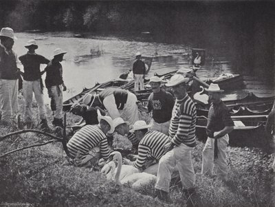 Captura de cisnes en el Támesis, marcando de J. Benjamin Stone