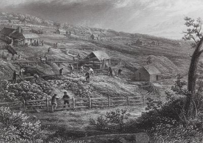 Australia: Concordia Gold Mines (grabado) de J. C. Armytage