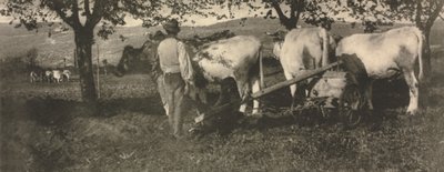 Camera Work: Ploughing Team de J. Craig Annan