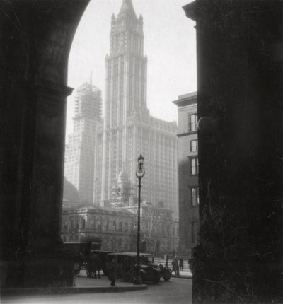 Edificio Woolworth, Ciudad de Nueva York, EE.UU., siglo XX de J. Dearden Holmes