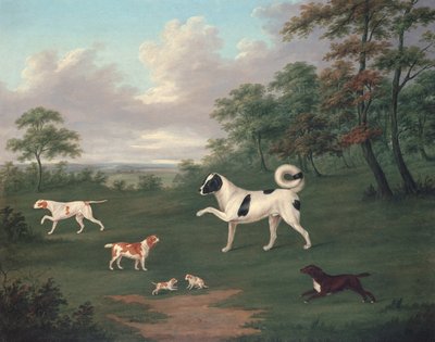 Perros de caza en un paisaje de J. Francis Sartorius