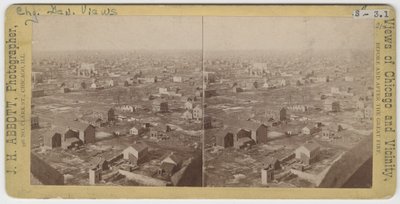 Estereografía de la vista al nornoroeste desde la Torre de Agua después del incendio de Chicago de 1871, 1871 de J. H. Abbott