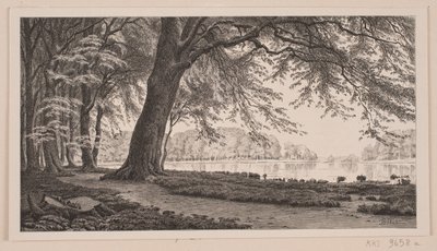 Tarde de primavera en el lago Fuglesang en Dyrehaven de J. Hildebrand