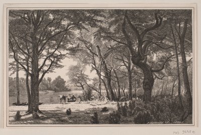 Paisaje forestal de Jutlandia de J. Hildebrand