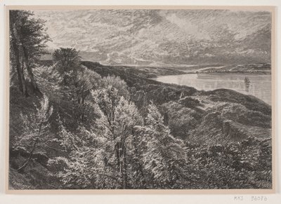 Vista desde Munkebjerg sobre el fiordo de Vejle de J. Hildebrand