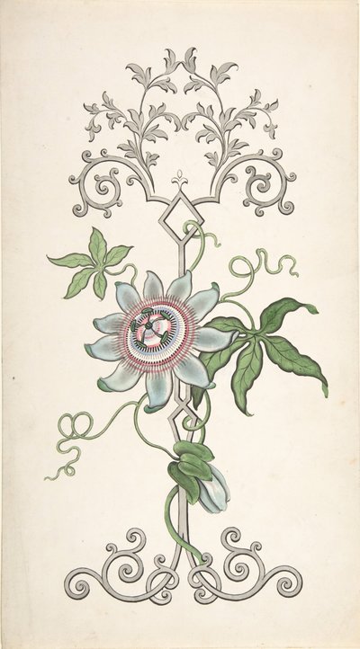 Diseño para Decoración de Panel Centrado en una Flor de la Pasión, 1828-40 de J Hulme