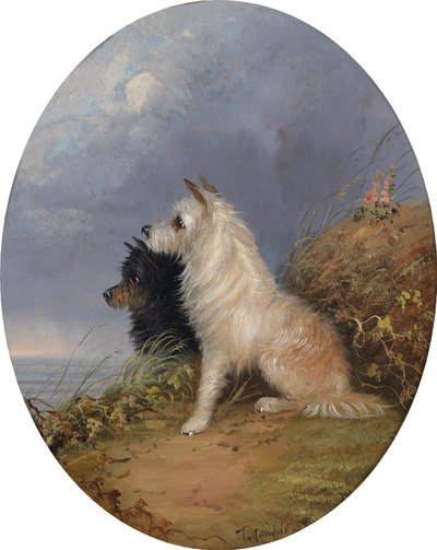 Dos perros en la playa de J. Langlois