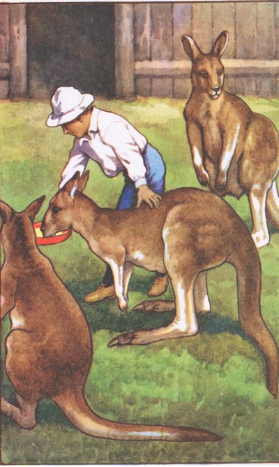 Niño australiano, de los carteles escolares de MacMillan, c.1950-60s (litografía en color) de J. Macfarlane