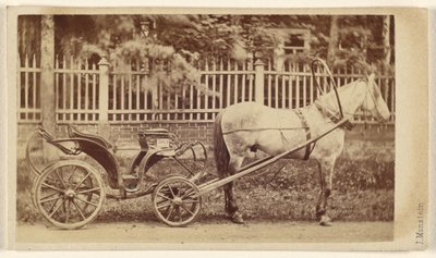 [Pequeño carruaje con caballo] de J. Monstein
