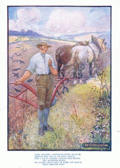 Flor modesta y carmesí, de Literatura Inglesa pub. por T C & EC Jack, c.1920 de J. R. Skelton