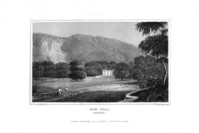 Box Hill, Surrey, 1829 de J. Rogers