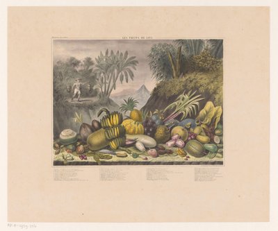 Frutas de Java
Les fruits de Java (título en el objeto) de J. Schnell