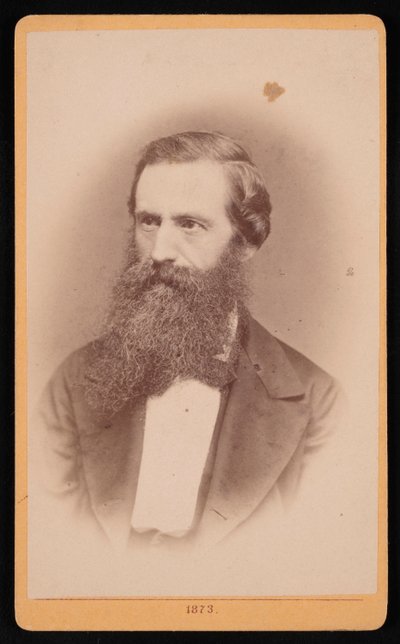 Retrato de Mordecai Cubitt Cooke 1825-1914, 1873 de J Stegmann