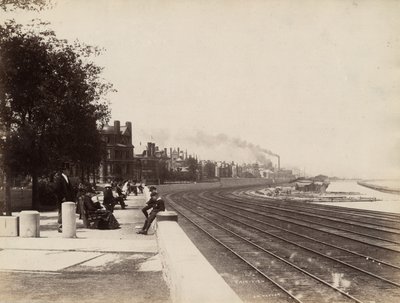Vista de la calle 35 mirando al norte, Chicago, c.1888 de J. W. Taylor