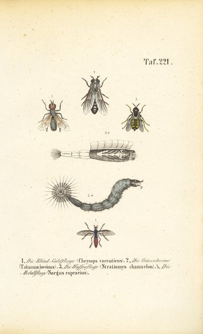  de J. W. Tenhaeff