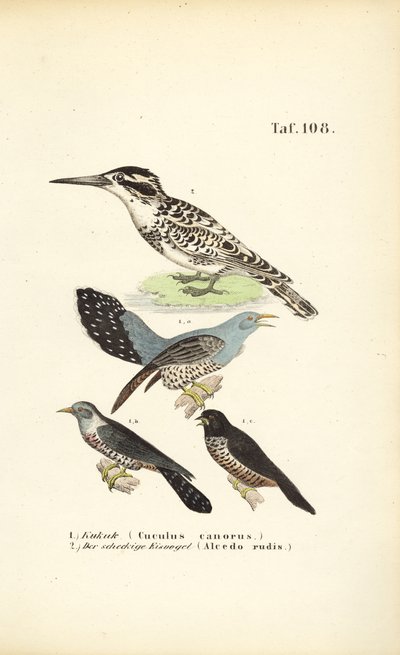  de J. W. Tenhaeff