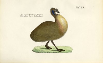  de J. W. Tenhaeff