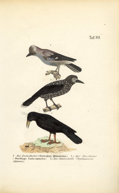  de J. W. Tenhaeff