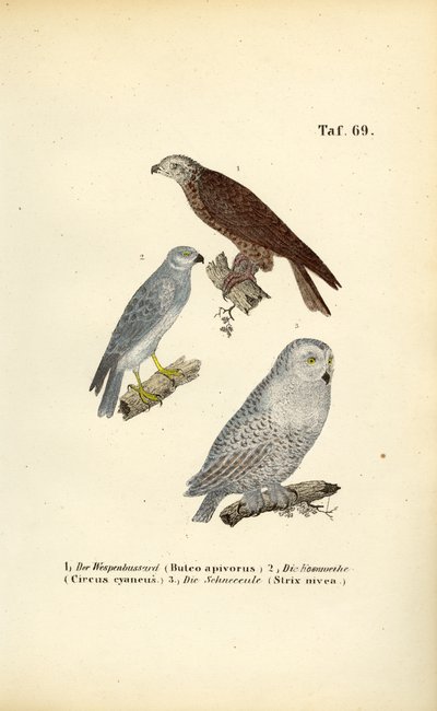  de J. W. Tenhaeff
