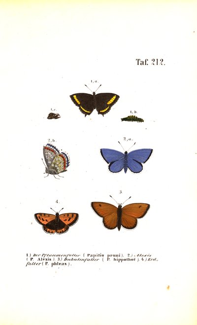  de J. W. Tenhaeff