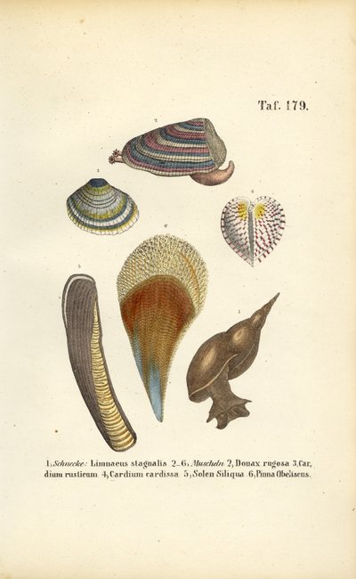  de J. W. Tenhaeff