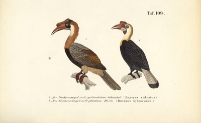 de J. W. Tenhaeff