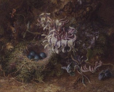 Nido de Pájaros y Madreselva de Jabez Bligh