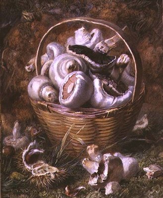 Hongos de Jabez Bligh