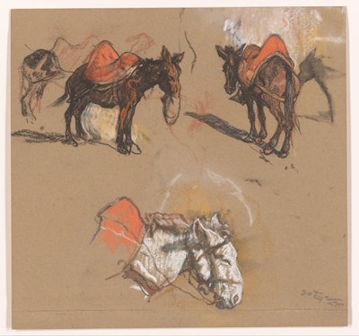 Estudios de burros y una mula en el Gran Mercado de Tánger de Jac van Looij (signed by artist)