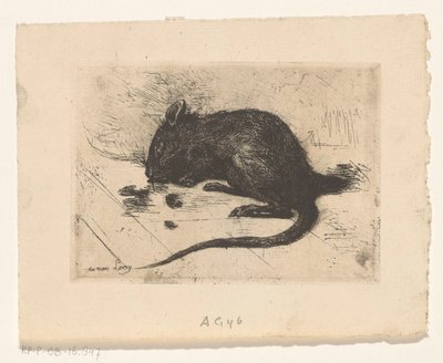 Otros de Jac van Looij