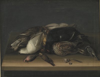 Aves acuáticas en una mesa de madera de Jacob Biltius