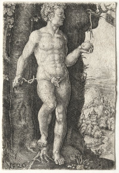 Adán de Jacob Binck