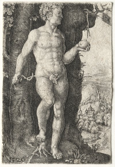 Adán, 1526 de Jacob Binck