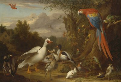 Un guacamayo, patos, loros y otras aves en un paisaje de Jacob Bogdani