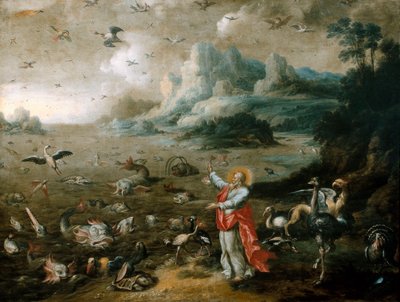 El génesis: creación de las aves y los peces de Jacob Bouttats