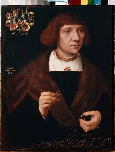 Retrato de un hombre con anillos. Retrato masculino con anillos. Pintura de Jacob van Utrecht (circa 1479-después de 1525) de Jacob Claesz. von Utrecht