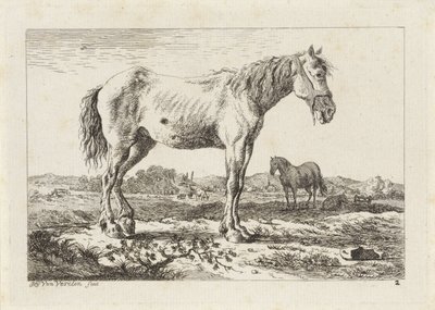 Caballo de pie en un paisaje Seis grabados a partir de dibujos de varios maestros (título de la serie) de Jacob Elias van Varelen