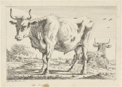 Buey de pie y acostado Seis grabados a partir de dibujos de varios maestros (título de la serie) de Jacob Elias van Varelen