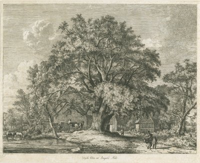Olmo de Wych, Blithfield de Jacob George Strutt