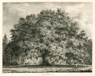 El roble Chandos, Michendon House, Southgate, Londres de Jacob George Strutt