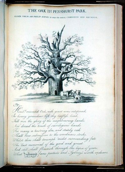 El roble en el parque Penshurst de Jacob George Strutt