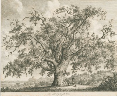 Tutbury - "Olmo de bruja": grabado, nd [c 1820] de Jacob George Strutt