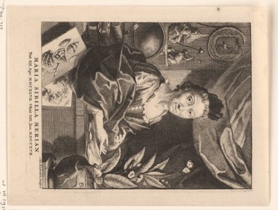 Portret de María Sibylla Merian Maria Sibylla Merian (título sobre objeto) de Jacob Houbraken